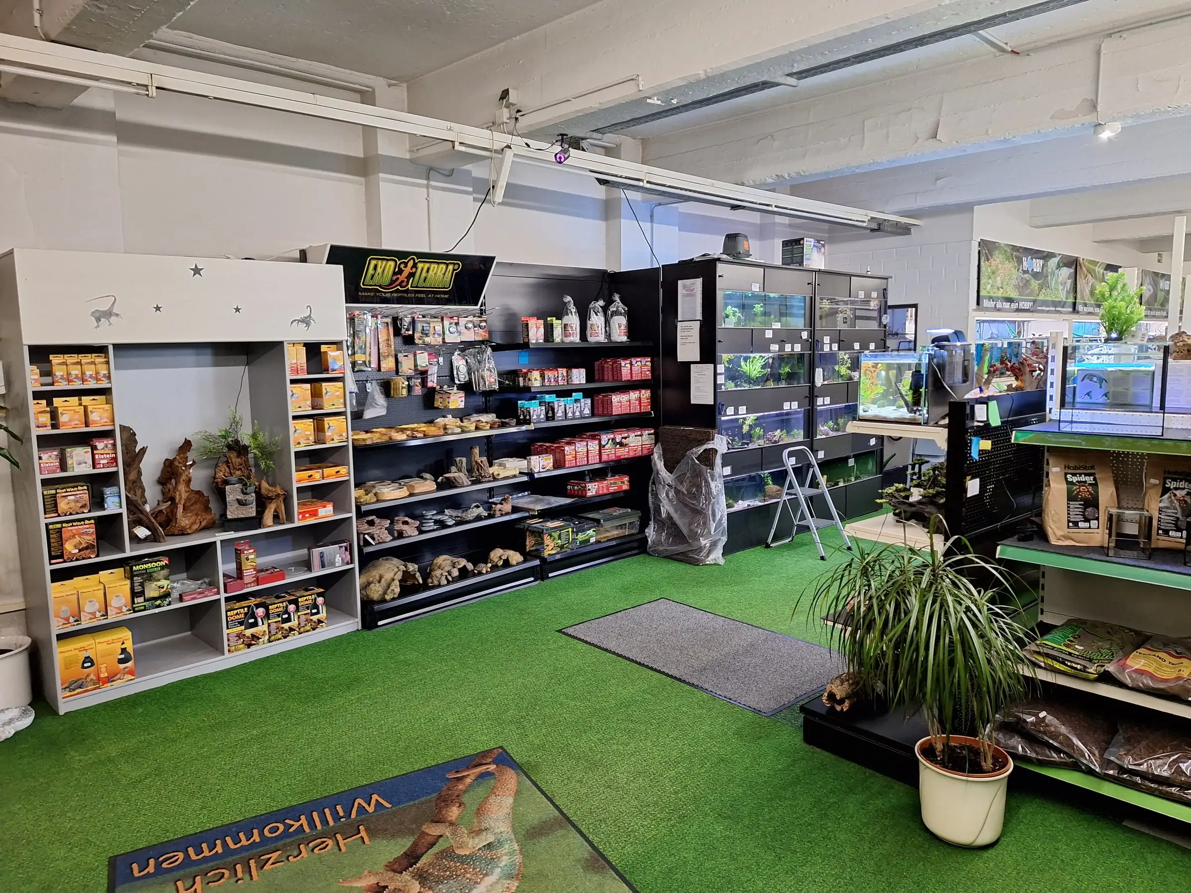 Blick in den Laden: Regale mit Terraristik-Zubehör und Aquarien