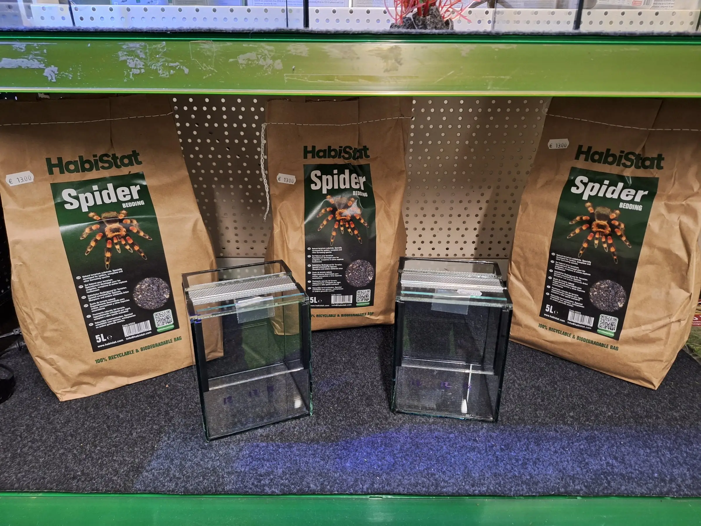 Kleine Terrarien und Bodengrund im Regal